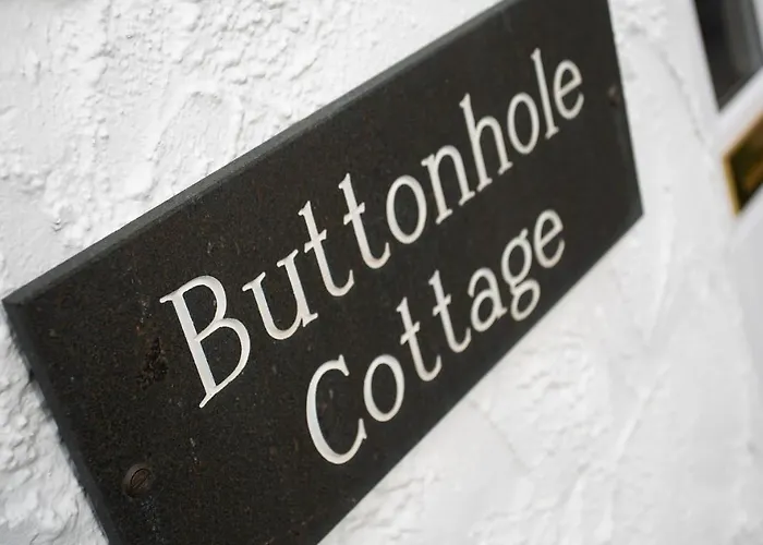 Buttonhole * 安布尔塞德